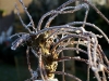 Winterwonderland-01